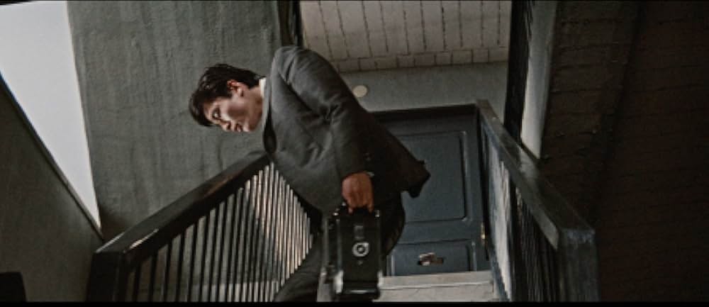 しとやかな獣の画像