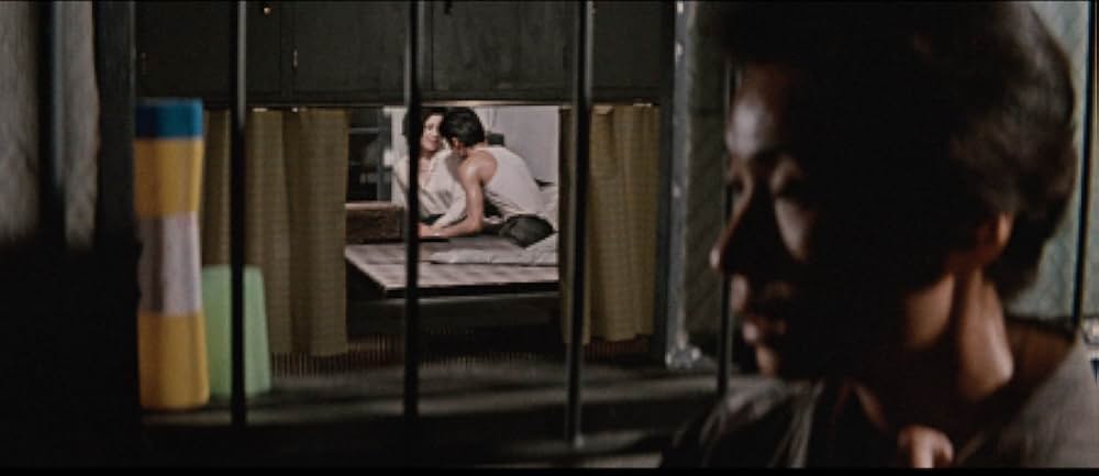 しとやかな獣の画像