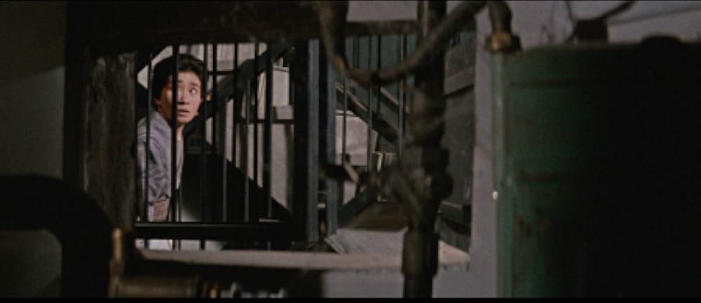 しとやかな獣の画像