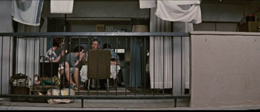 しとやかな獣の画像