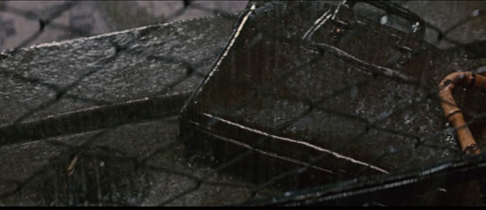 しとやかな獣の画像