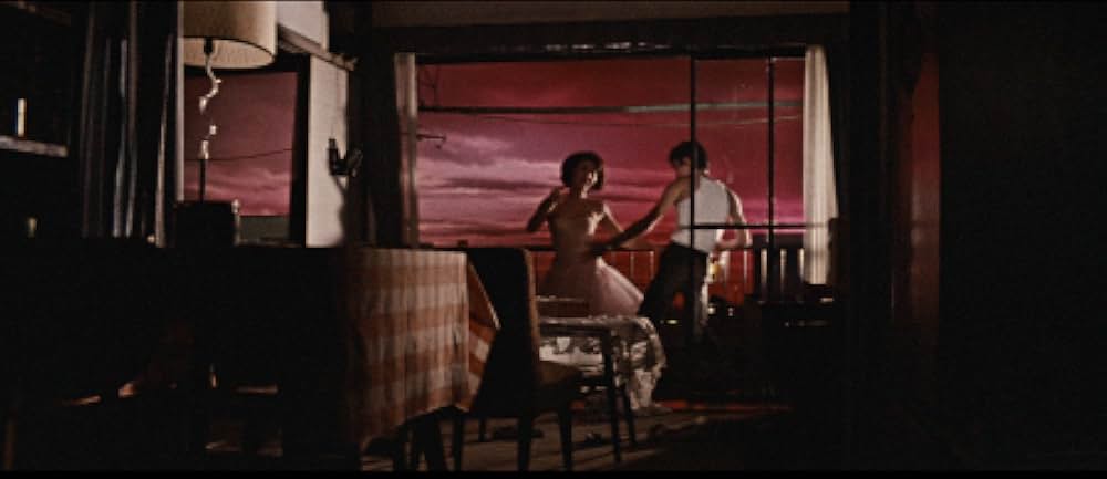 しとやかな獣の画像