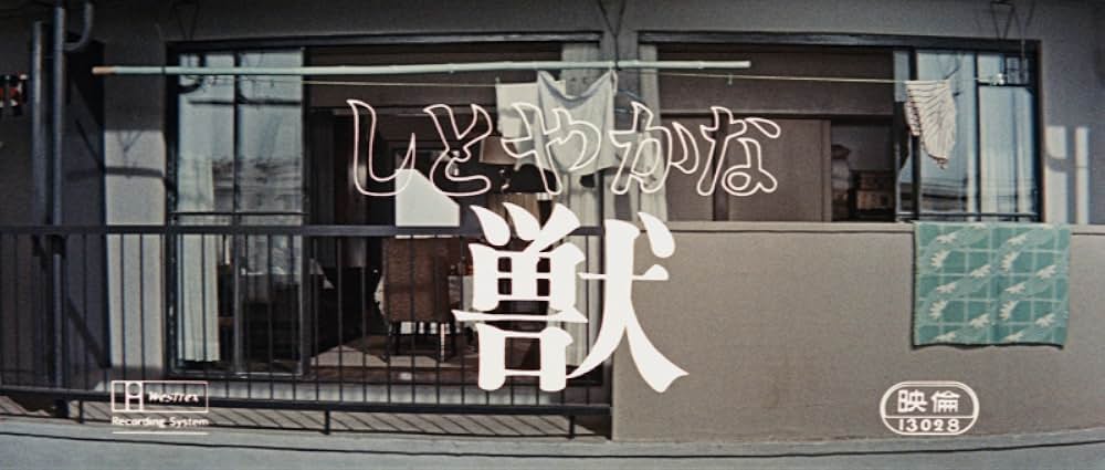 しとやかな獣の画像