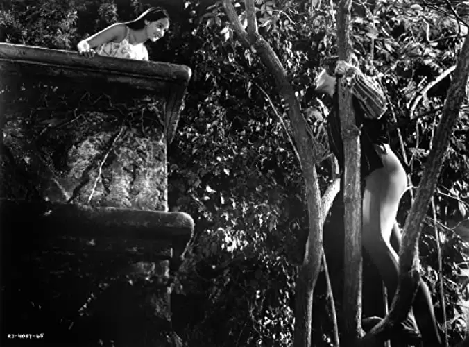 ロミオとジュリエットの画像