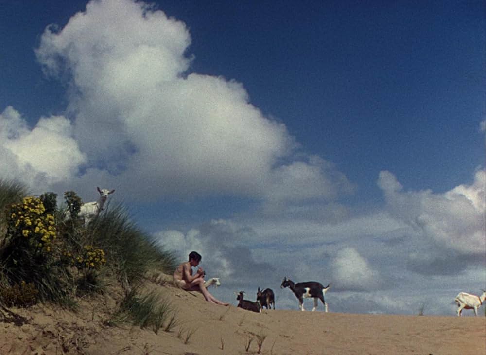 天国への階段の画像