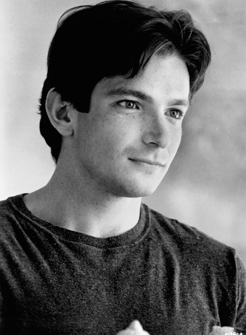 バードケージの画像