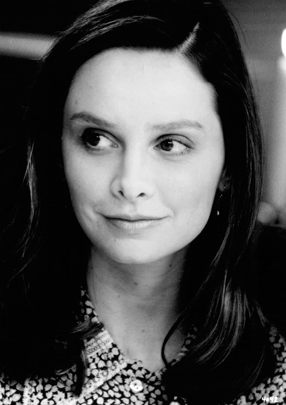 バードケージの画像