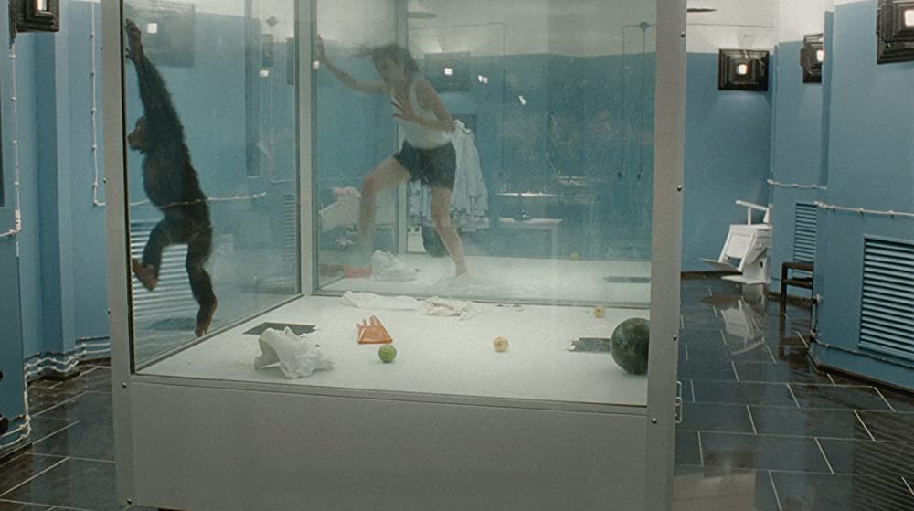 DAU. 退行の画像