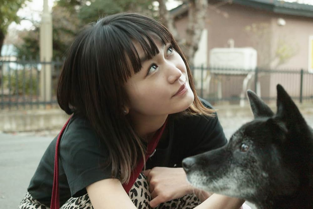 草の響きの画像