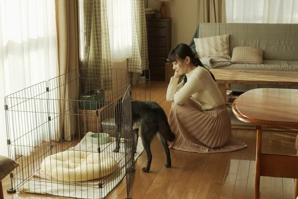 草の響きの画像