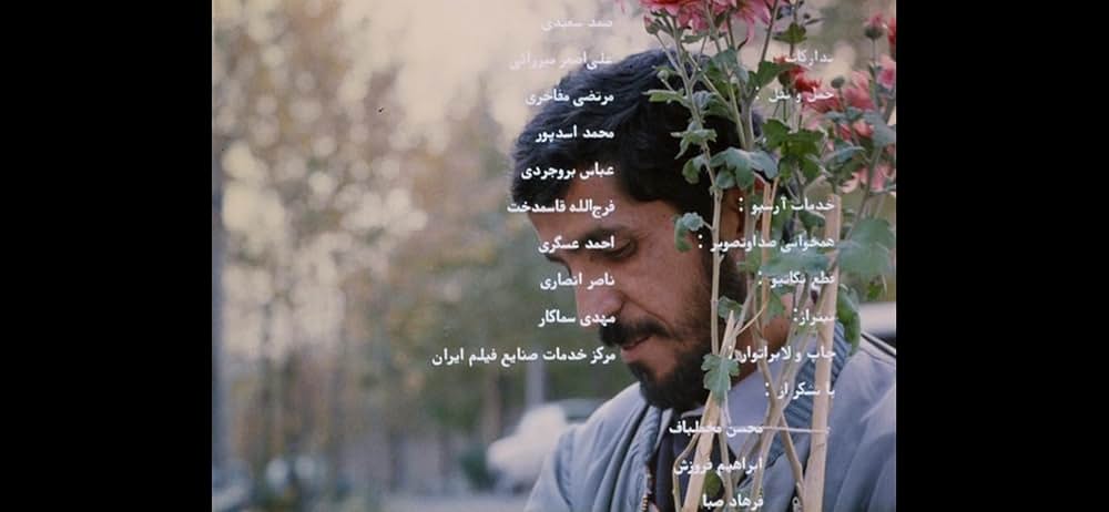 クローズ・アップの画像