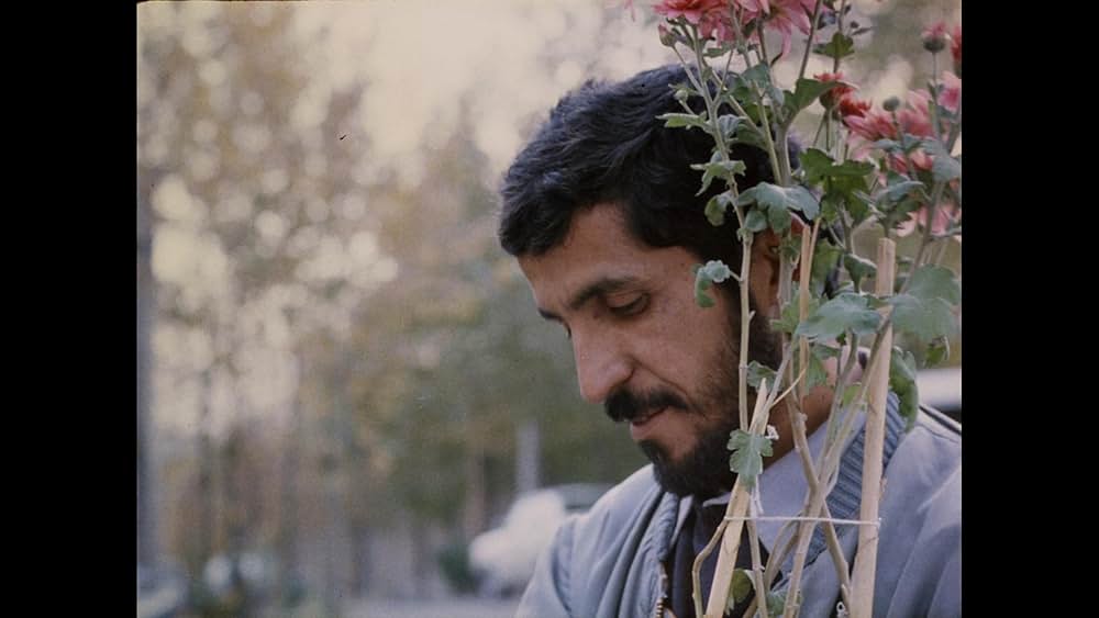 クローズ・アップの画像