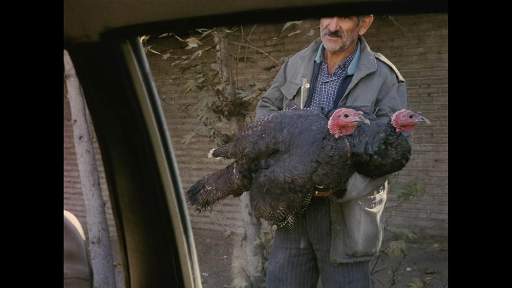 クローズ・アップの画像