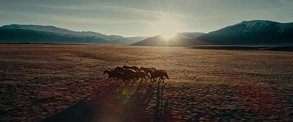 ウエスタン・スターズの画像