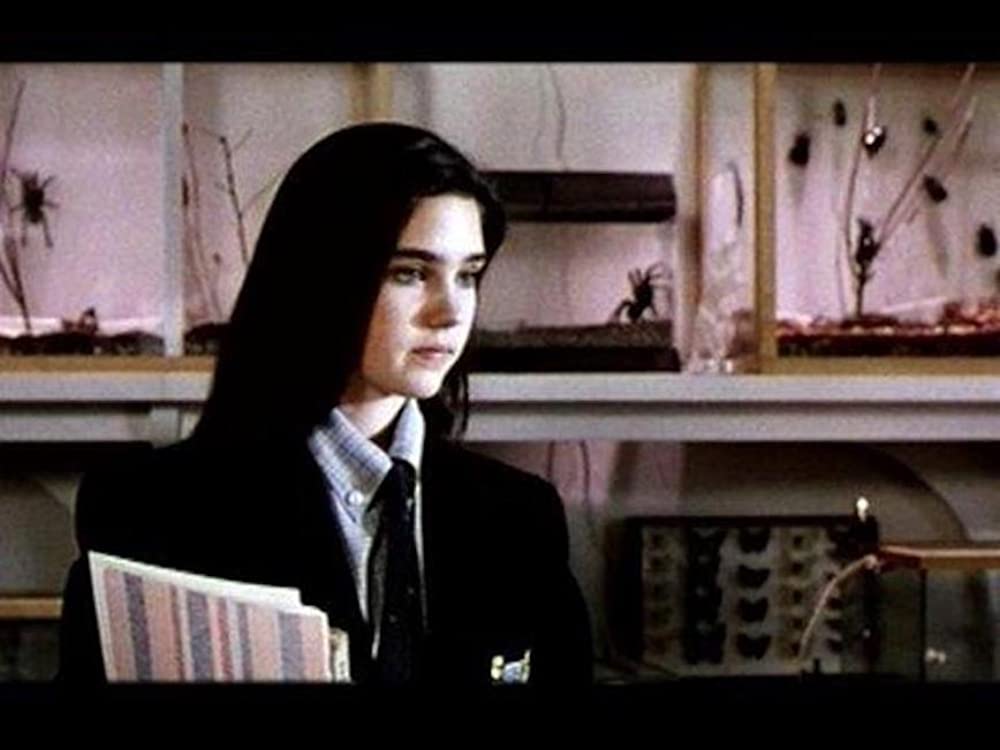 フェノミナの画像