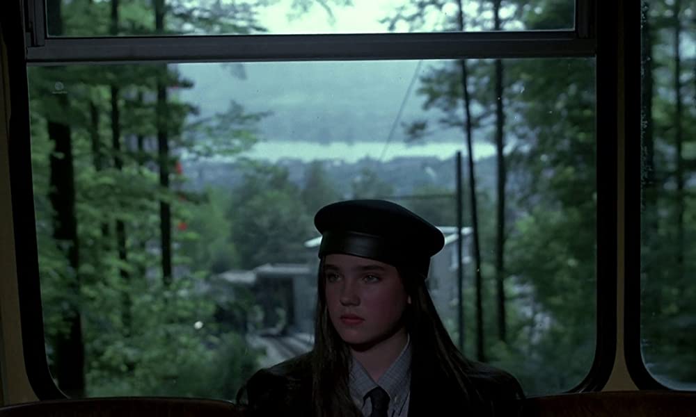 フェノミナの画像