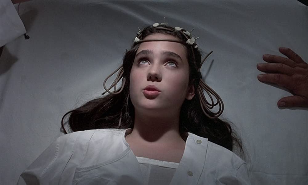 フェノミナの画像