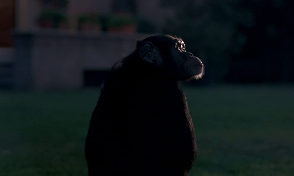 フェノミナの画像