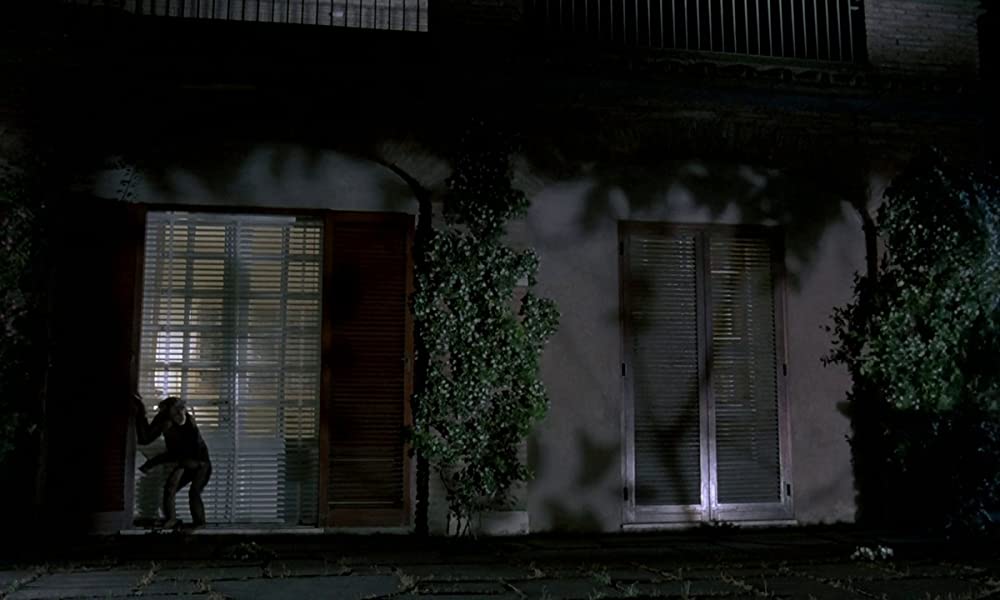 フェノミナの画像