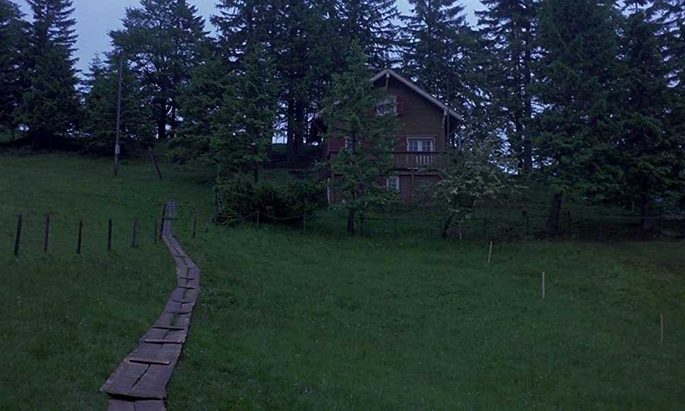 フェノミナの画像