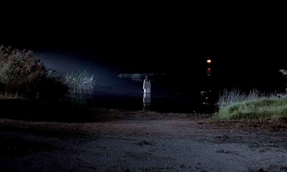 フェノミナの画像