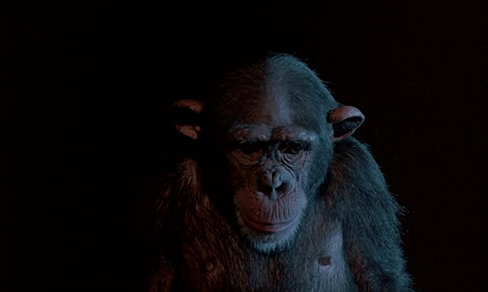 フェノミナの画像