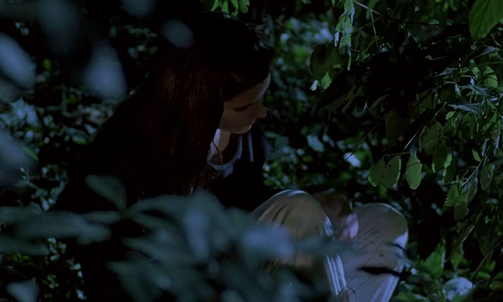 フェノミナの画像