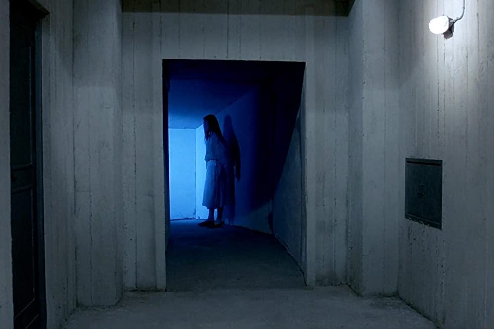 フェノミナの画像