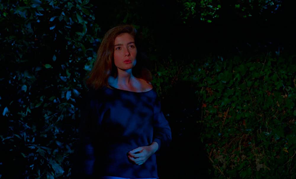 フェノミナの画像