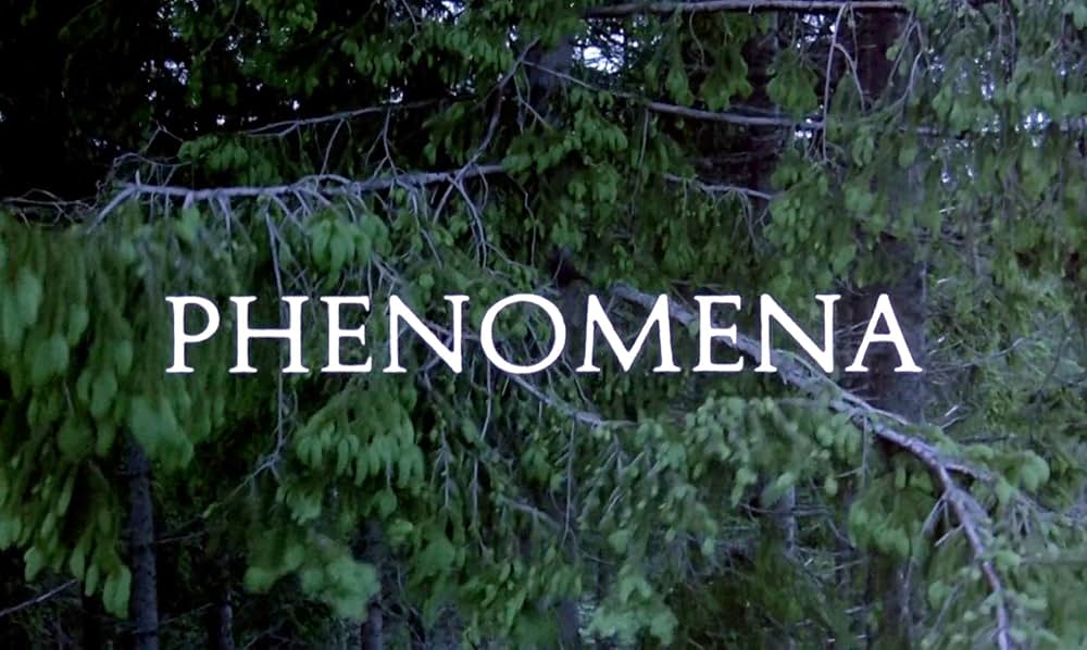 「フェノミナ」の画像