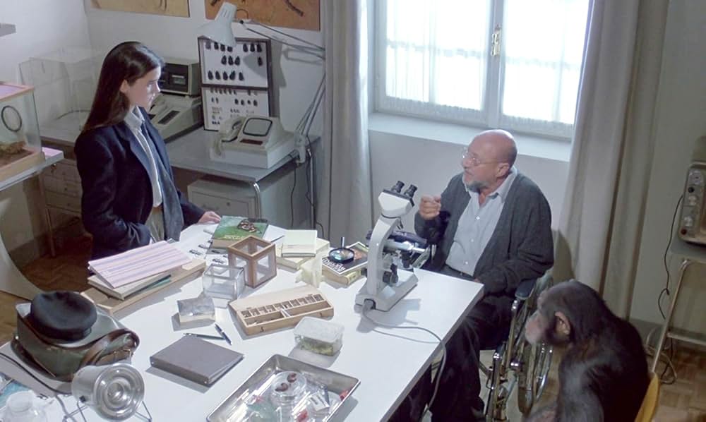 「フェノミナ」の画像