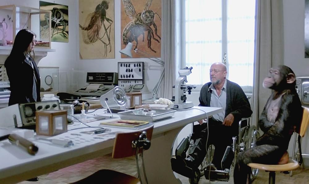 「フェノミナ」の画像