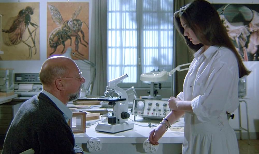 「フェノミナ」の画像