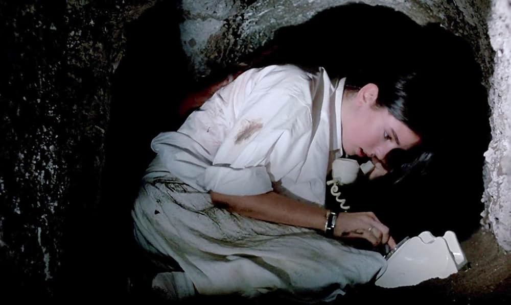 「フェノミナ」の画像