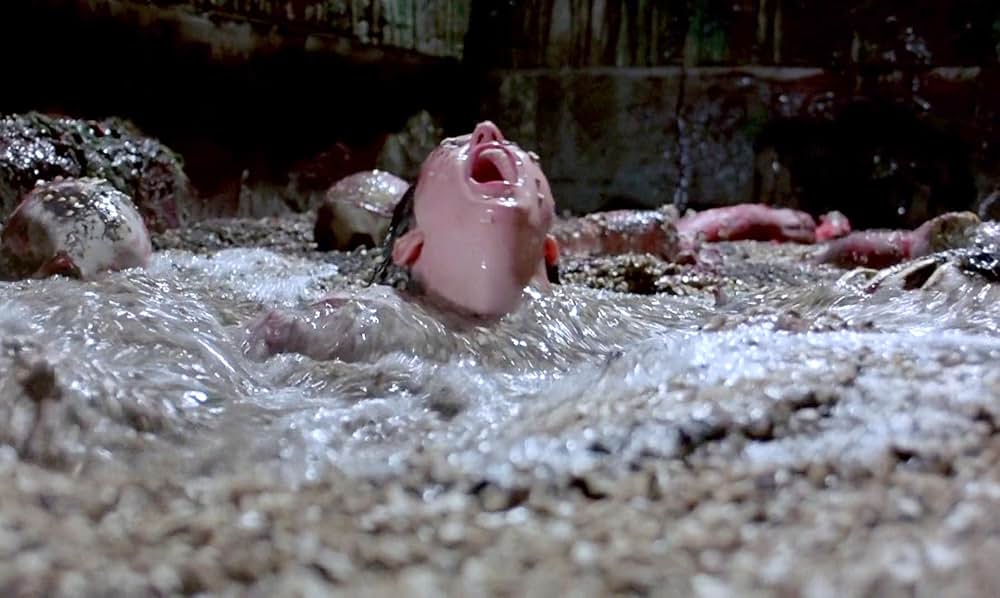 「フェノミナ」の画像