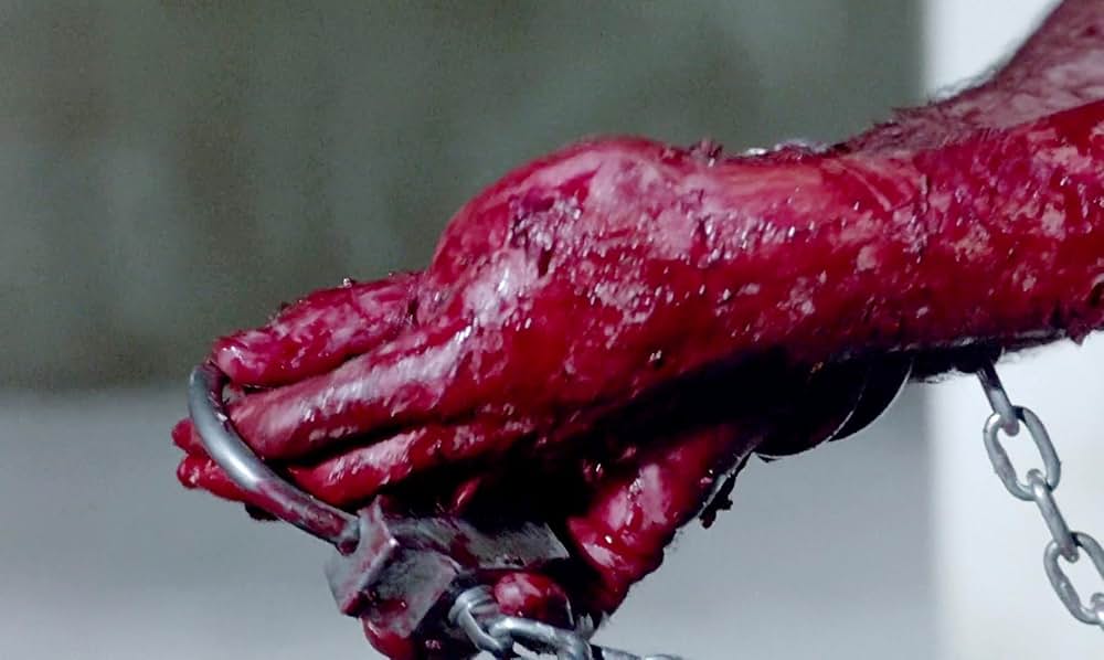 「フェノミナ」の画像