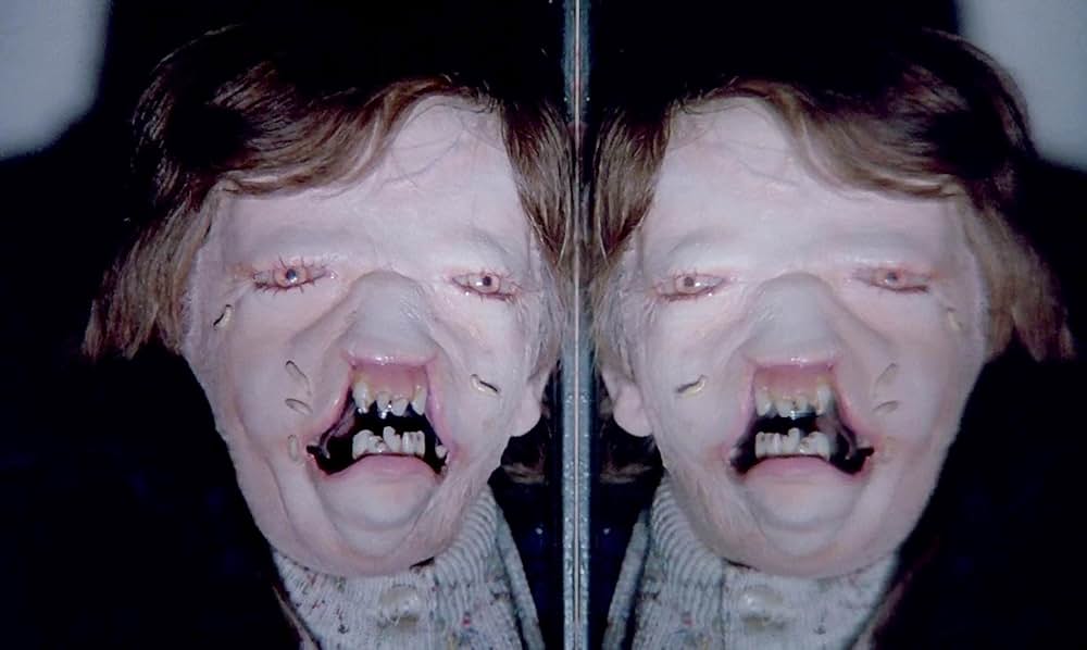 「フェノミナ」の画像