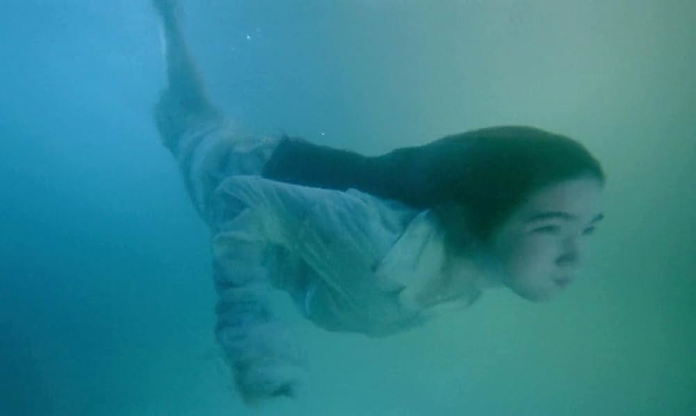 「フェノミナ」の画像