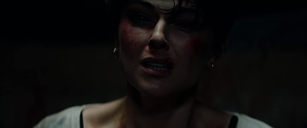 ネイビーシールズ 全滅領域／リデンプション・デイ 償いの日の画像