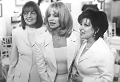 ファースト・ワイフ・クラブの画像