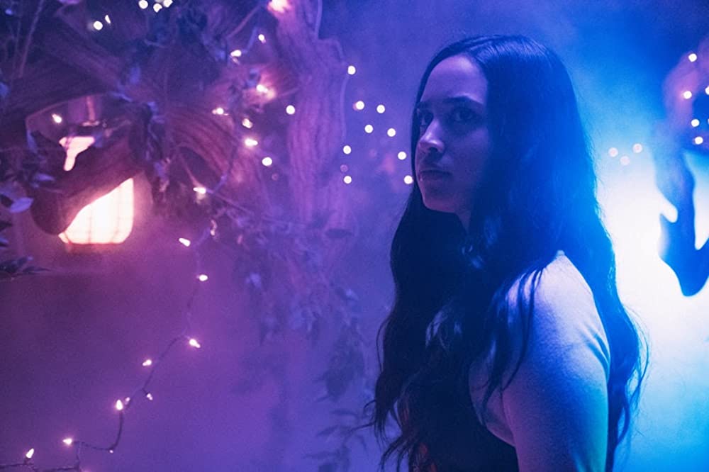 ウィリーズ・ワンダーランドの画像