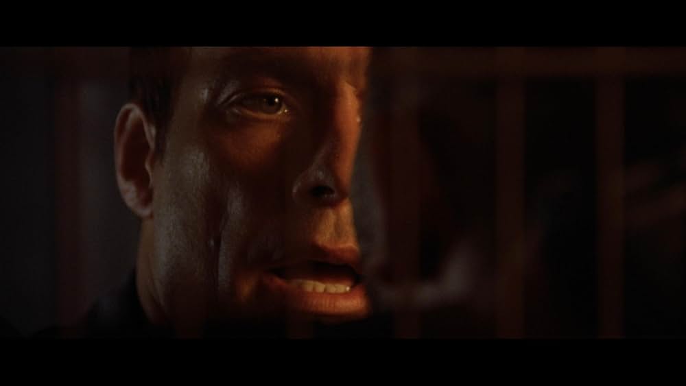 ノック・オフの画像