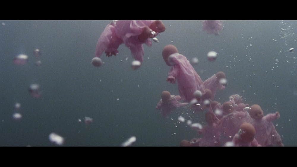 ノック・オフの画像