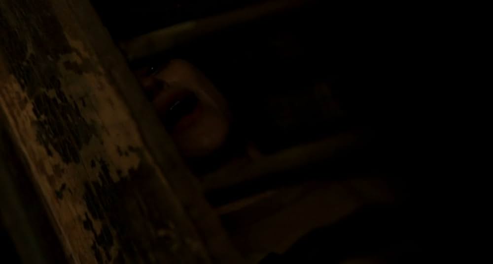 エスケーピング・マッドハウスの画像