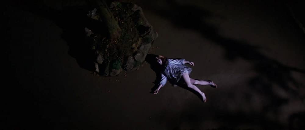 「呪いの館 血を吸う眼」桂木美加の画像