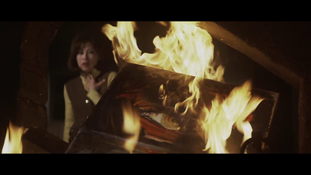 「呪いの館 血を吸う眼」の画像