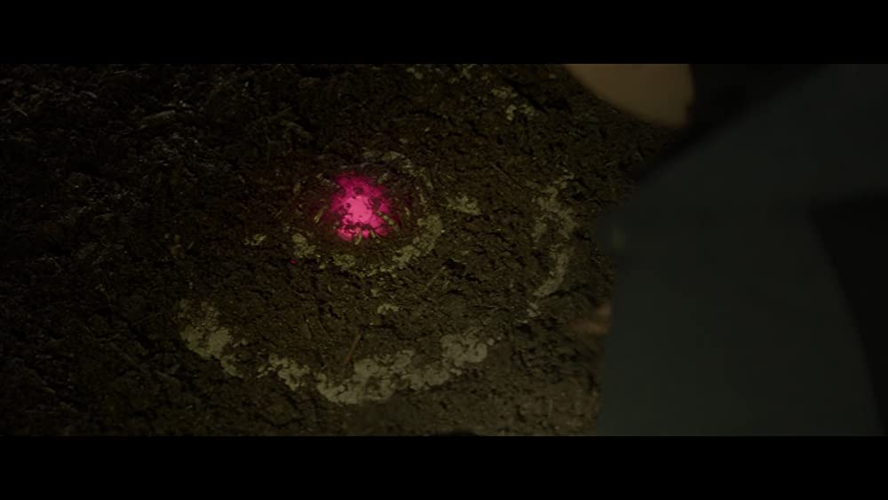 「サイコ・ゴアマン」の画像