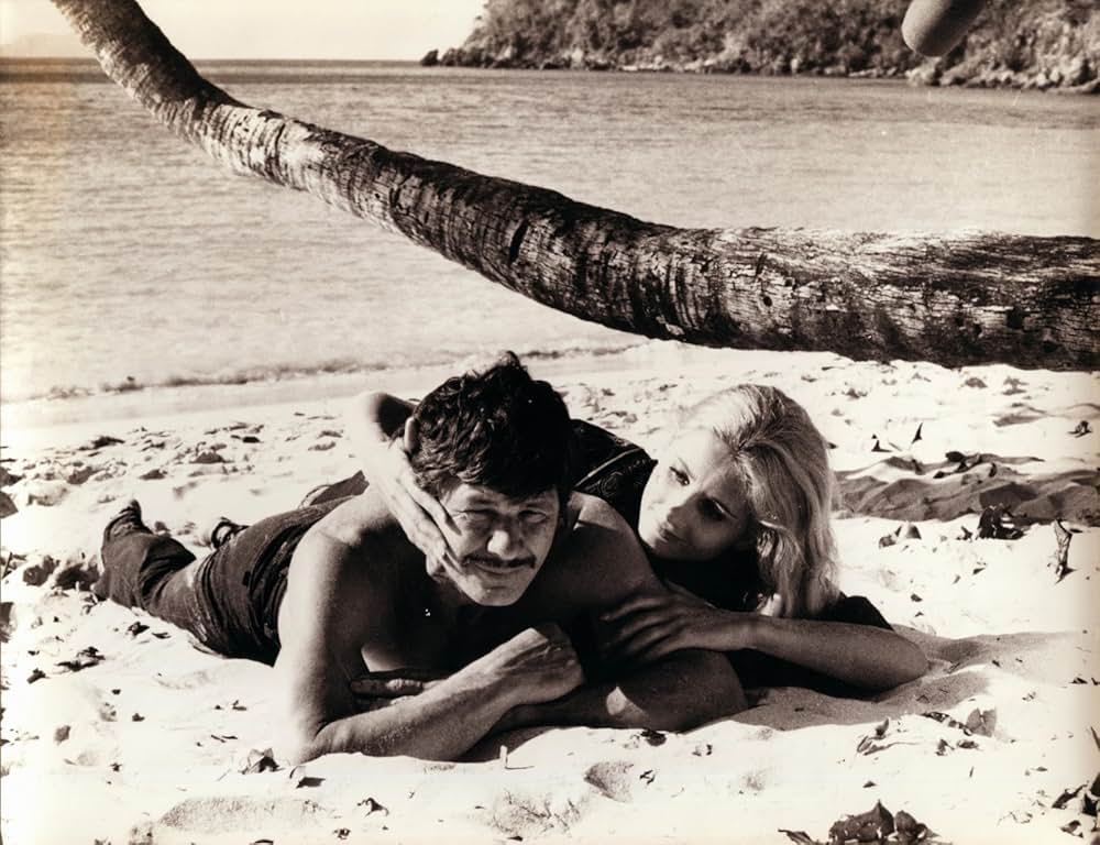 狼の挽歌の画像