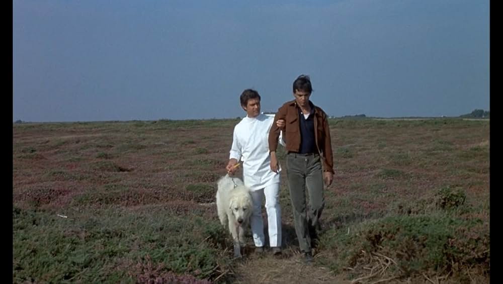 ショック療法の画像