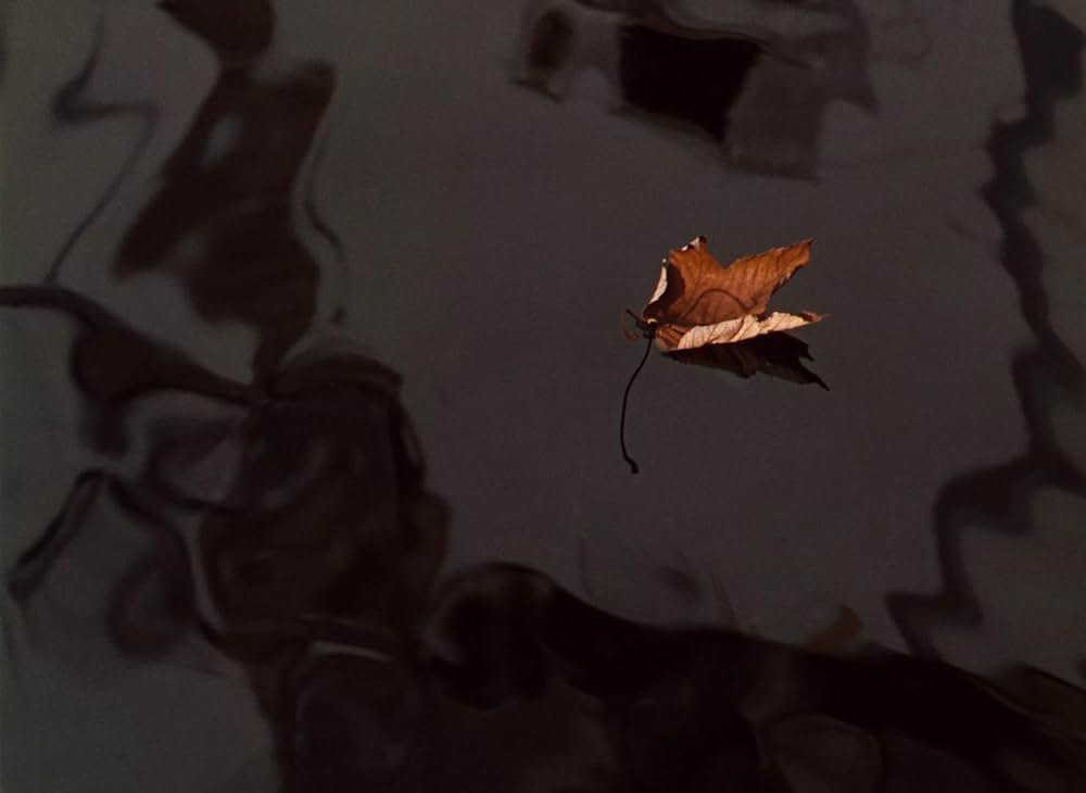 老兵は死なずの画像